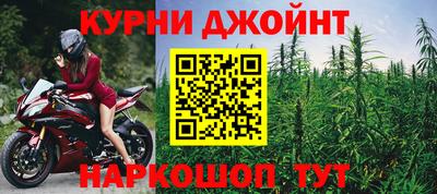 гидра Дмитров