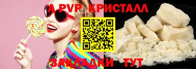 гидра Дмитров