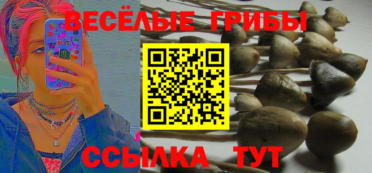 Псилоцибиновые грибы Magic Shrooms Губкинский