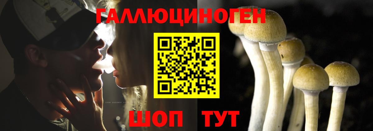 Псилоцибиновые грибы Cubensis  Вход с VPN  Галлюциногенные грибы GOLDEN TEACHER  Губкинский 